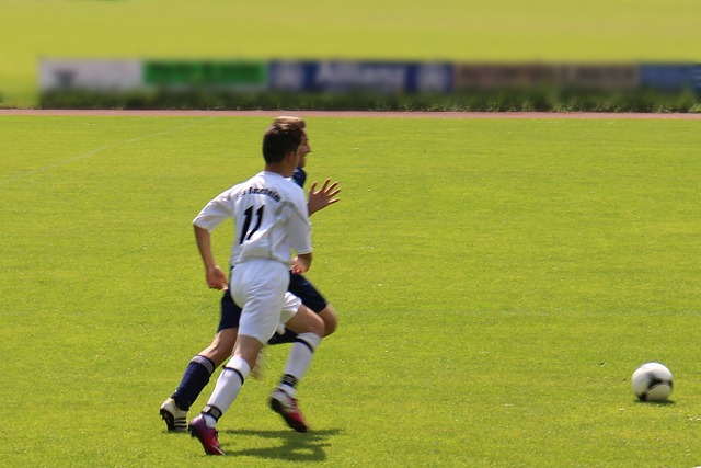 了一个崭新 了一个崭新