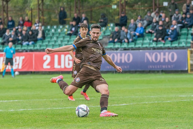 他们不仅在 他们不仅在