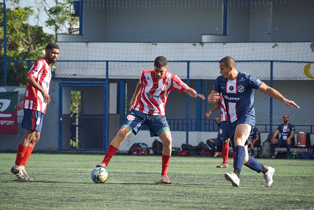 球冰雪运动 球冰雪运动