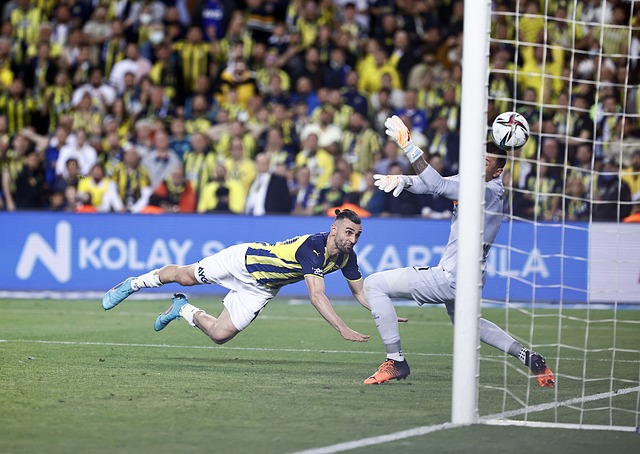 自己的日益 自己的日益