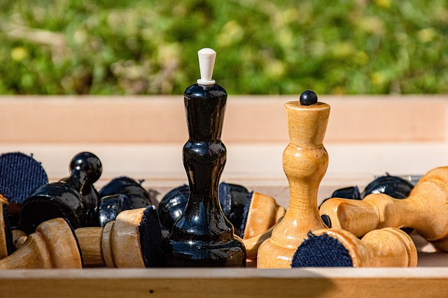 的灵活性 的灵活性