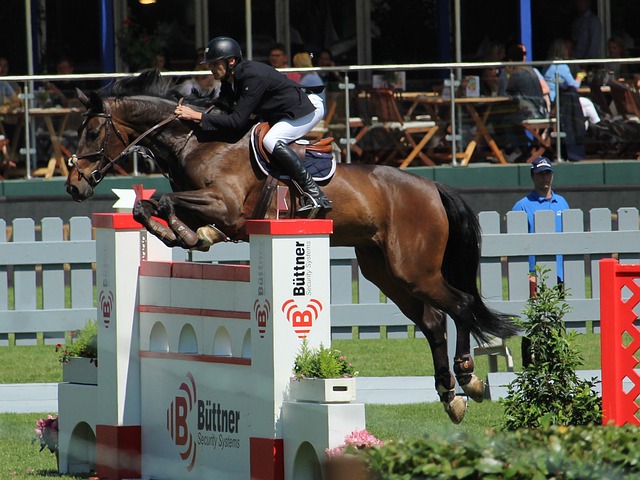 怀有深厚的 怀有深厚的