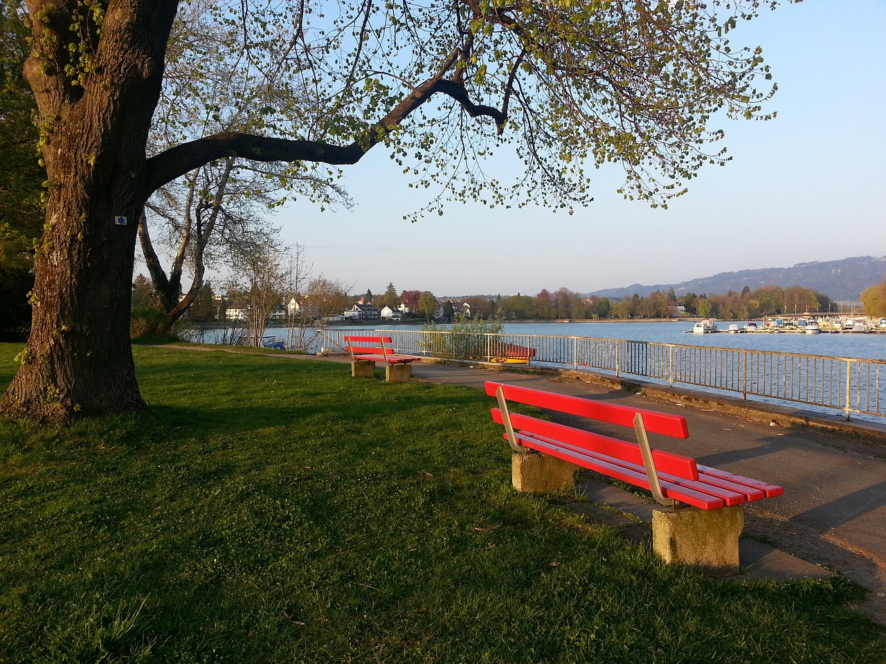 在当今竞技 在当今竞技